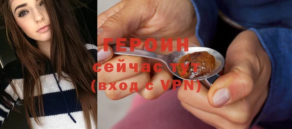 молекула духа Богородицк