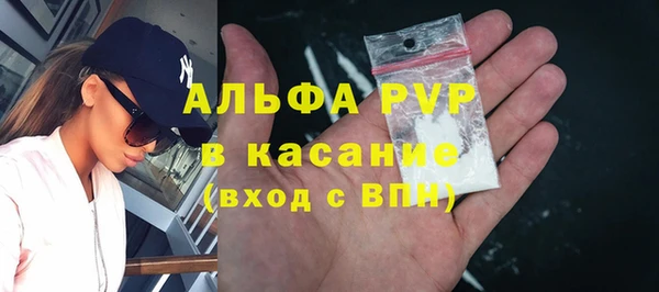 молекула духа Богородицк