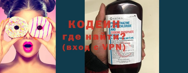 молекула духа Богородицк