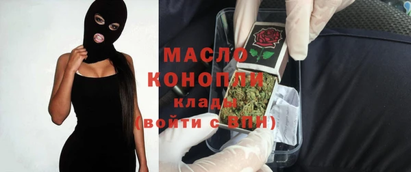 молекула духа Богородицк
