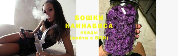 молекула духа Богородицк