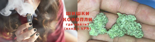 молекула духа Богородицк
