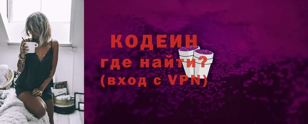 молекула духа Богородицк