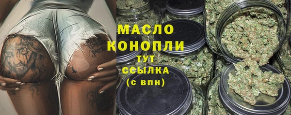 молекула духа Богородицк