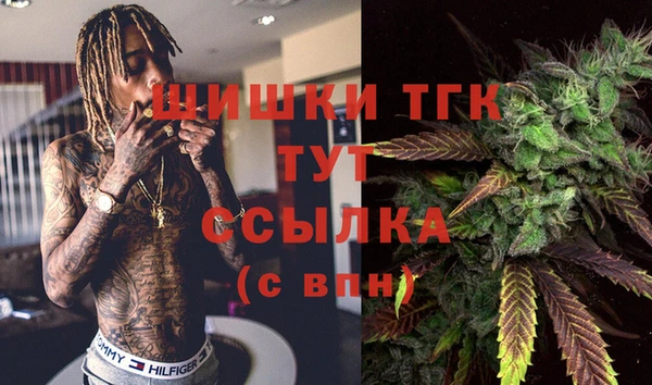 молекула духа Богородицк