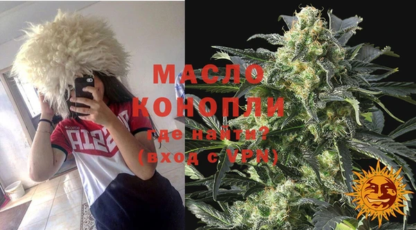 молекула духа Богородицк