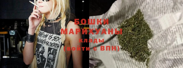 молекула духа Богородицк